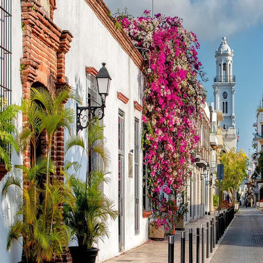 Santo Domingo: Full-Day VIP Tour from Punta Cana