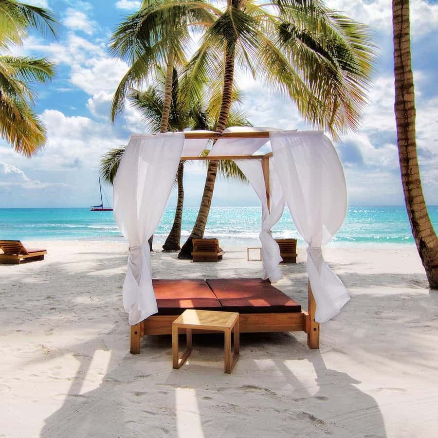 Saona Island from Punta Cana: Exclusive Beach Day Excursion - Dominican Republic
