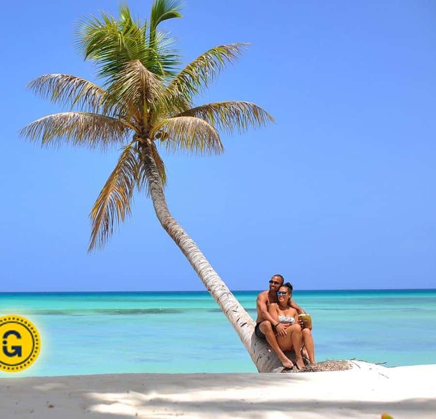 Punta Cana: Saona Island Day Tour and Catamaran Party