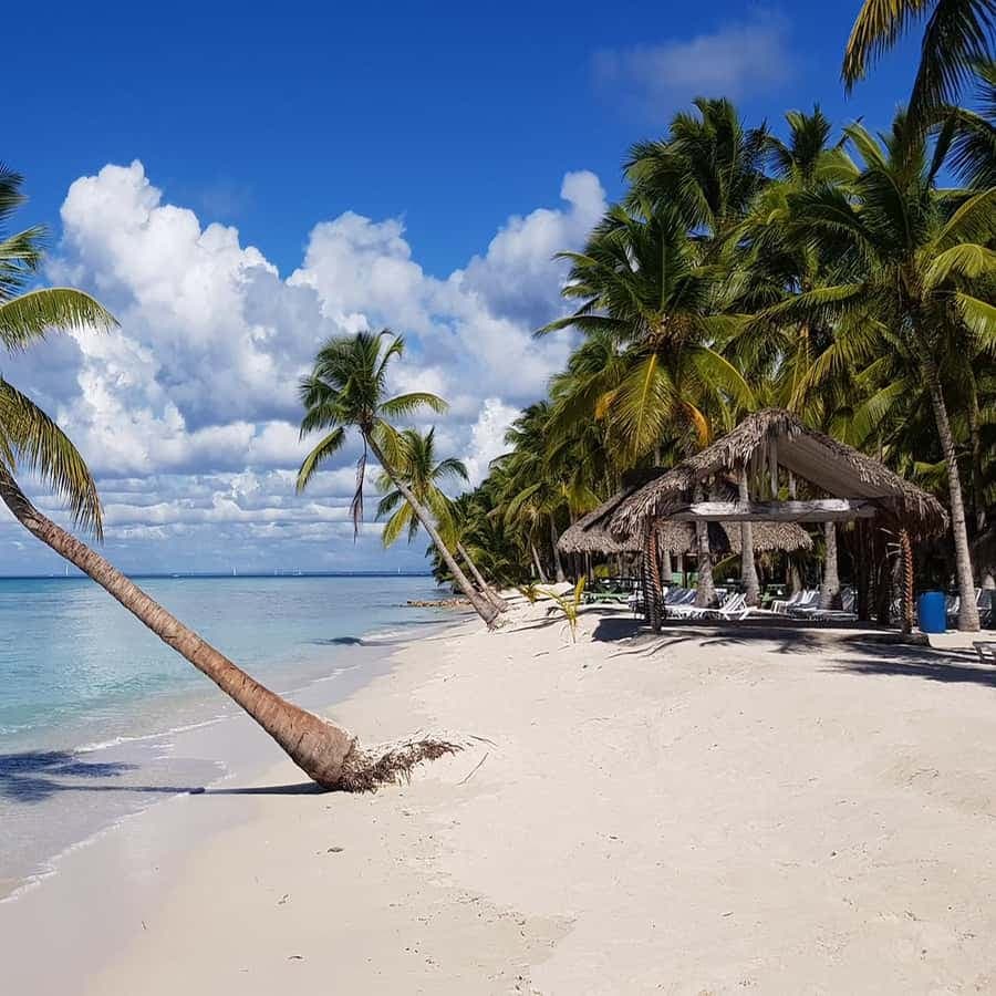 Juan Dolio: Saona Island Full-Day Tour with Lunch & Drinks