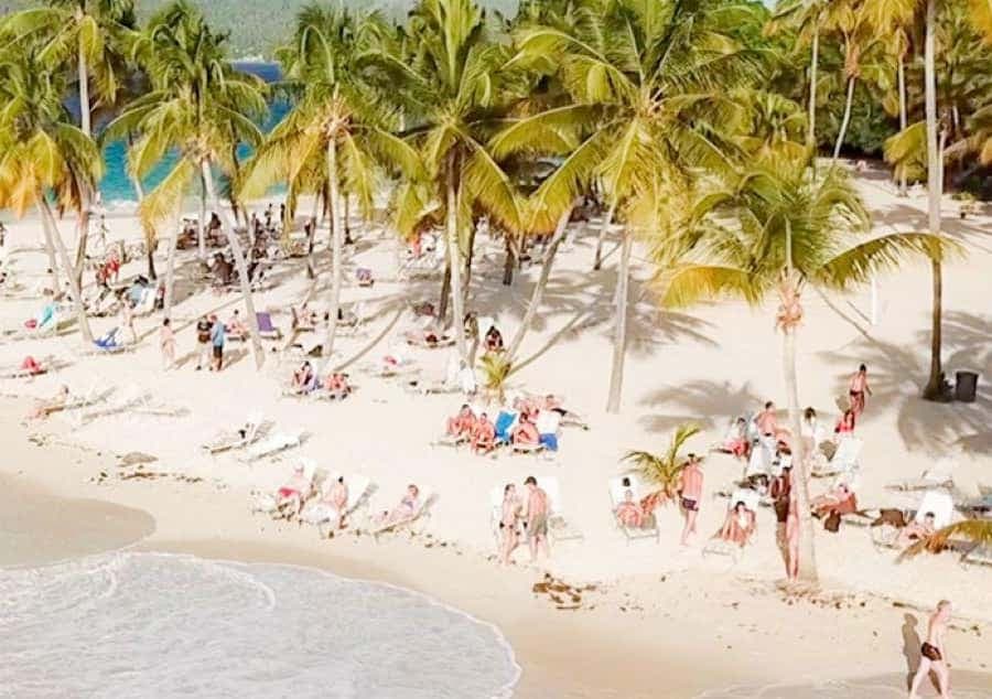 Bayahibe: gita di un giorno per l'avvistamento delle balene a Samaná e Miches - Photo 1 of 5