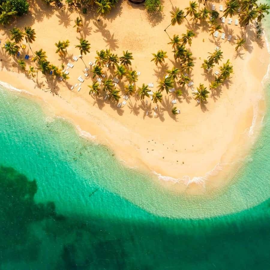 Punta Cana: Samaná Day Trip with Waterfall & Cayo Levantado