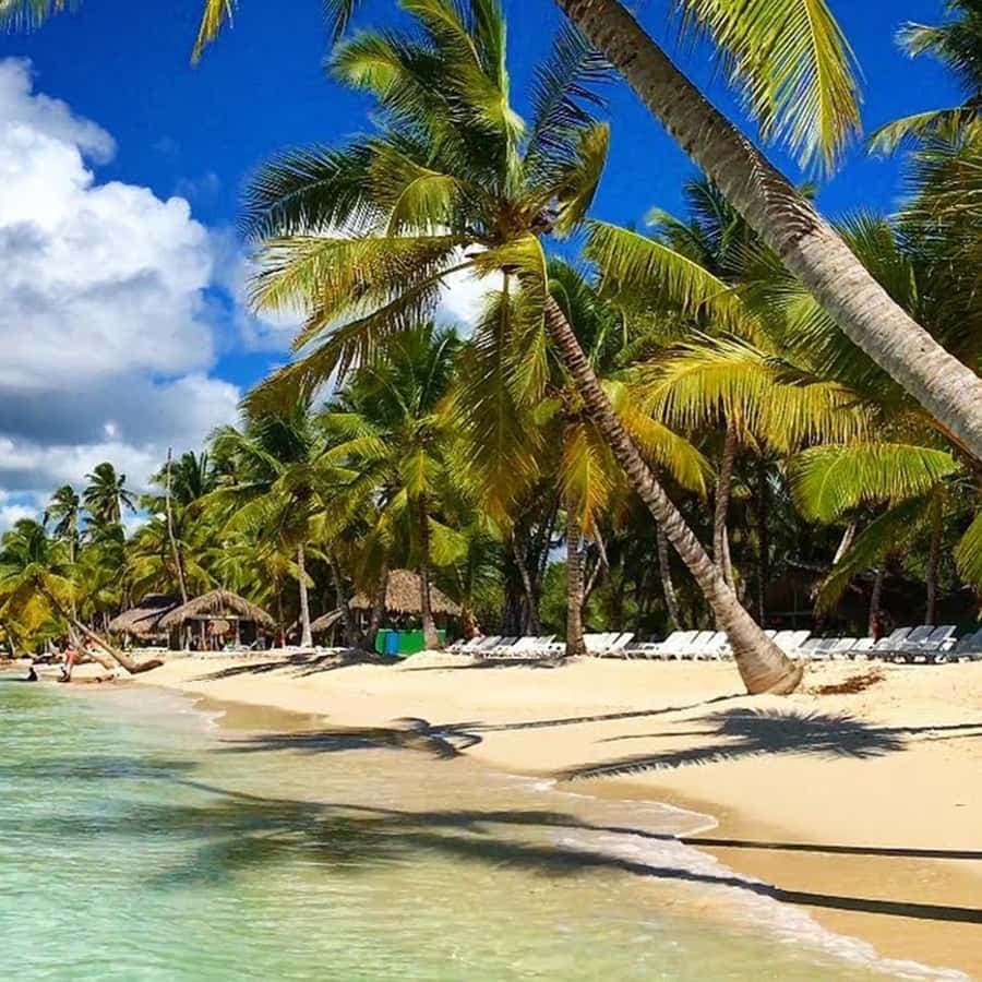Santo Domingo: Saona Island Day Trip with Catamaran Ride