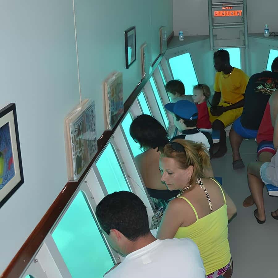 Saona Island in a semi-submarine and snorkeling.