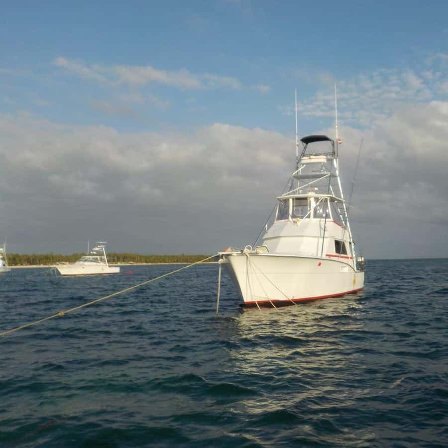 4 hours of deep sea fishing from Bavaro Punta Cana