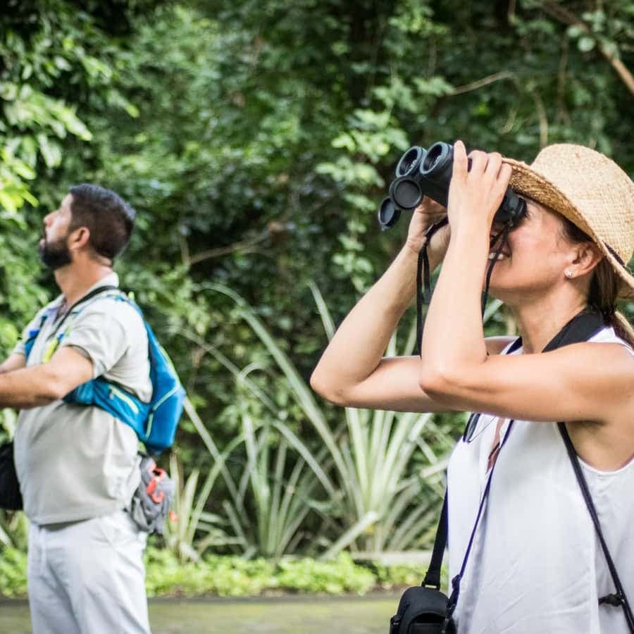La Romana: Bird Watching From Casa de Campo - Dominican Republic