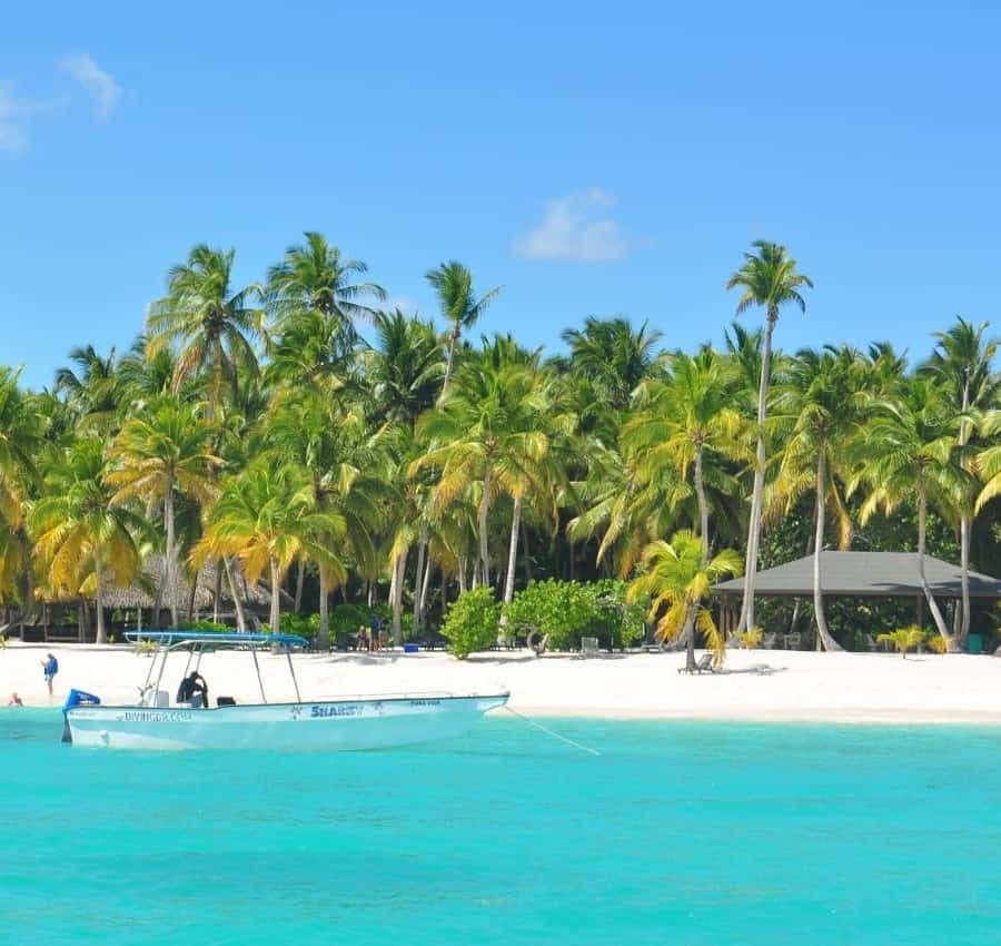 Juan Dolio: Saona Island Full-Day Tour with Catamaran Ride