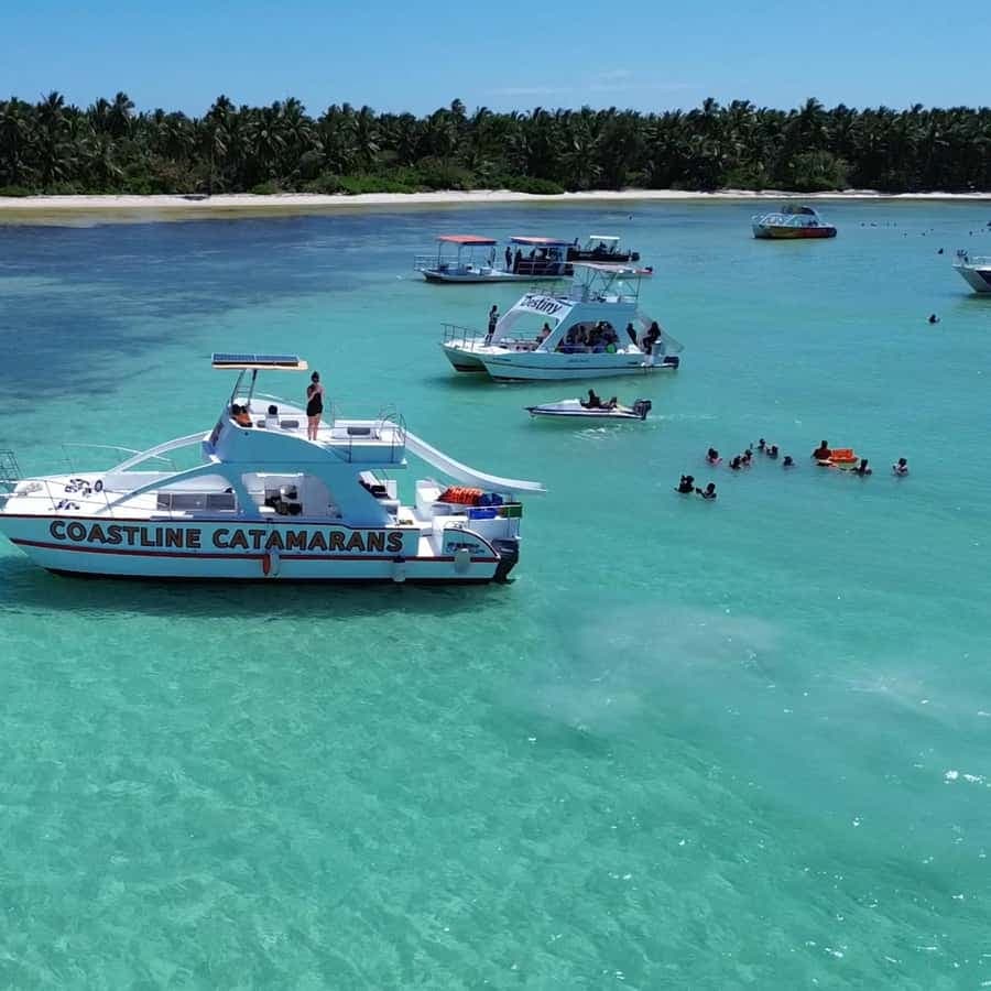 Punta Cana: Catamaran Tour with Reef Snorkeling and Open Bar
