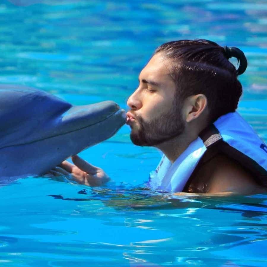 Punta Cana: Dolphin Discovery Park with Hotel Transfers