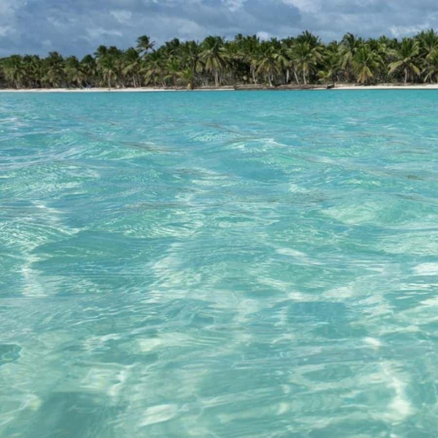 From Bayahibe: Saona Island Speedboat Tour with Snorkeling - Dominican Republic