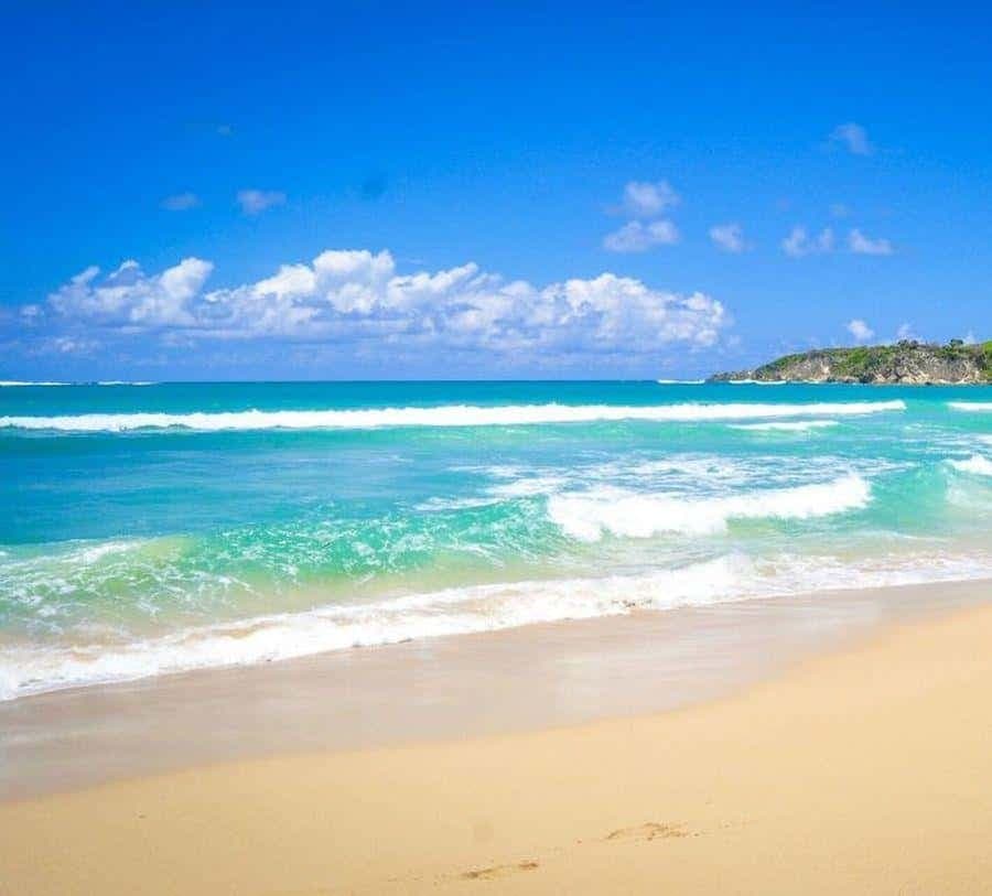 Punta Cana Excursions & Tours - Punta Cana Adventures