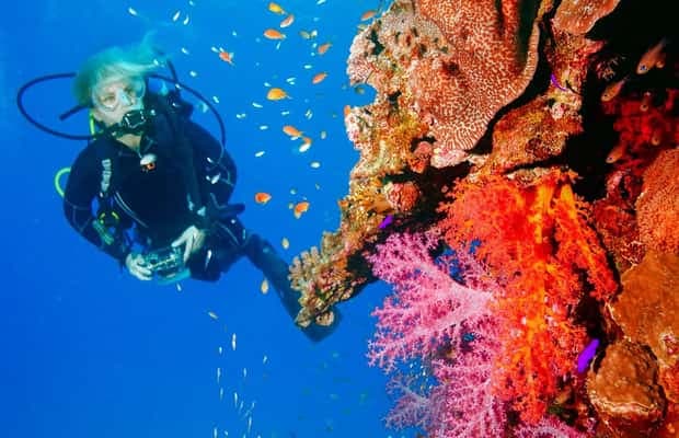 Punta Cana: Reef Diving Adventure Explore Underwater Wonders