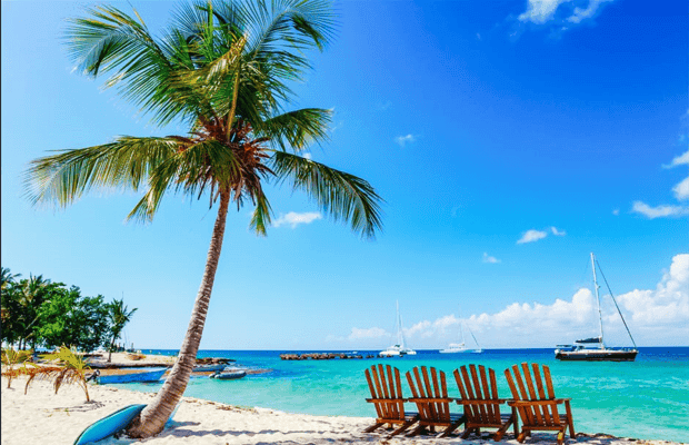 Saona Island Catamaran Cruise with Buffet