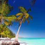 Saona Island: Catamaran tour to a Dream Beach, all inclusive