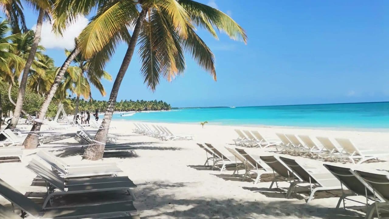 Saona Island: 6 Hour Private Tour with Snorkeling