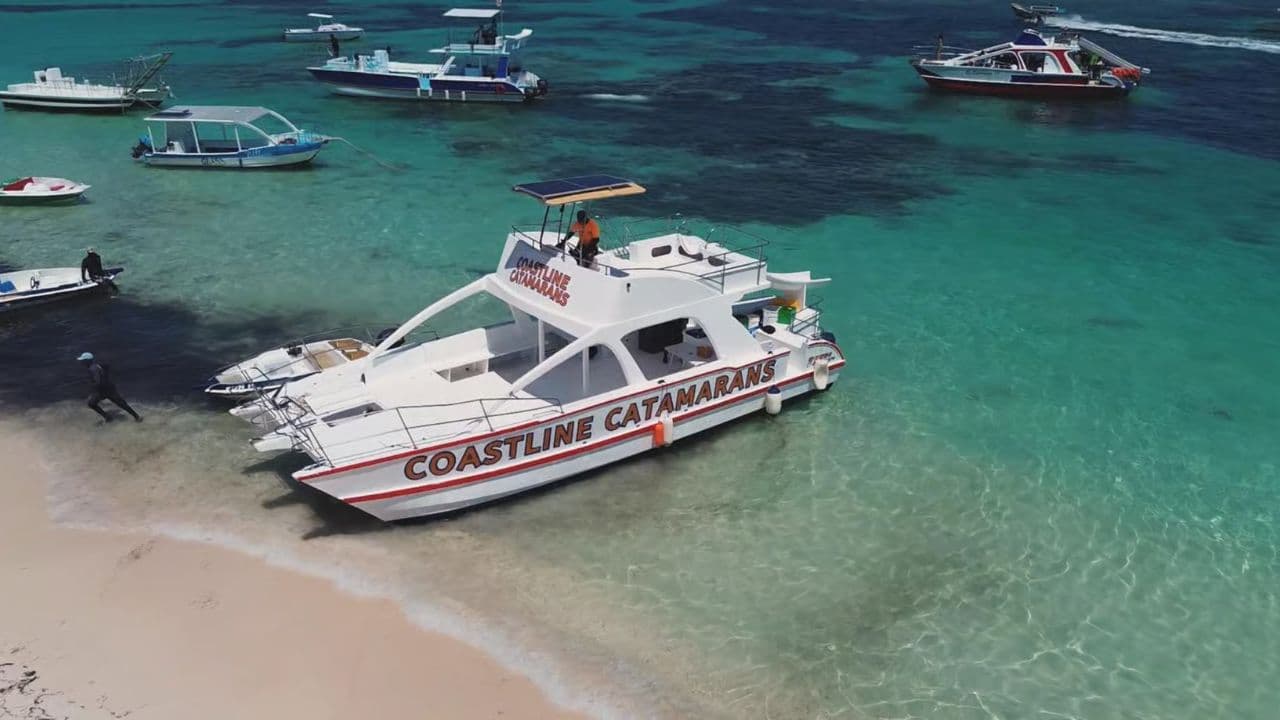 Punta Cana: Catamaran Tour with Open Bar and Reef Snorkeling