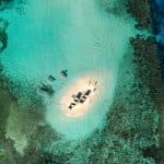 Paradise Island & The Mangroves, Snorkeling (Cayo Arena) Day Pass. Half Day Trip.