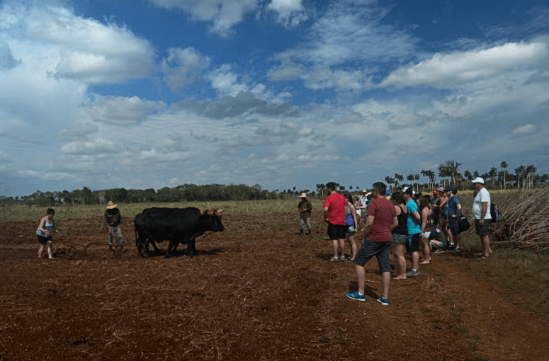 Yaguajay Jeep Safari