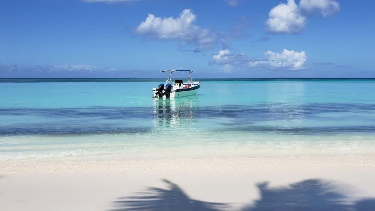 Saona Island Full-Day Tour with Lunch from Punta Cana