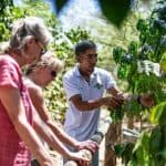 Full Day Cultural Tour in Dominican Republic