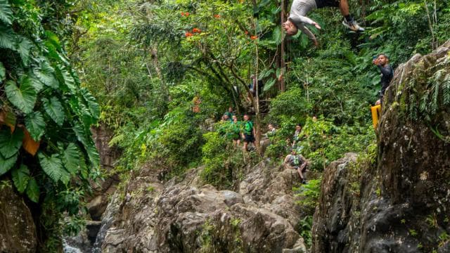 Fajardo: Rainforest guided adventure