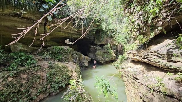 Rainforest Cave Tubing Adventure