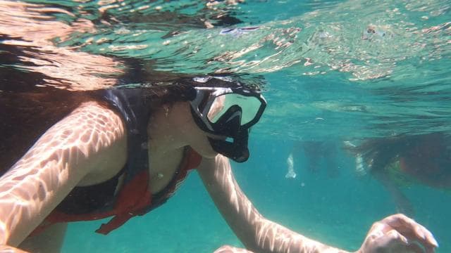 San Juan: Snorkeling with Turtles Adventure and Free Videos