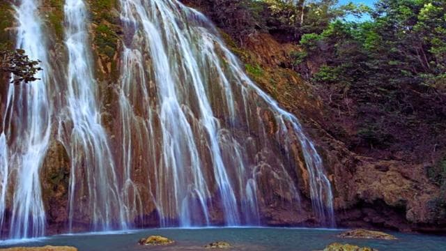 Punta Cana: Excursión a Samaná, Cayo Levantado y El Limón