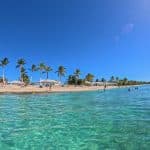 The Catalina Island Experience $110.00