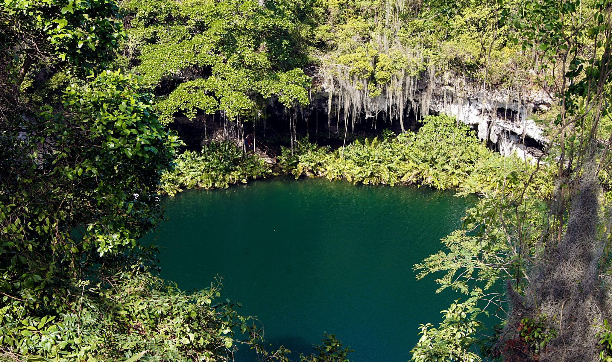 Los Tres Ojos Entrance Tour with Local Guide – Santo Domingo