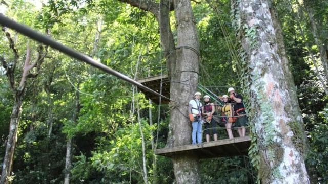 La Fortuna: Canopy Tour & Tarzan Swing