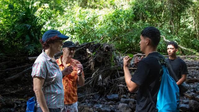 Jaco Beach: 10 Hidden Waterfalls Guided Experience