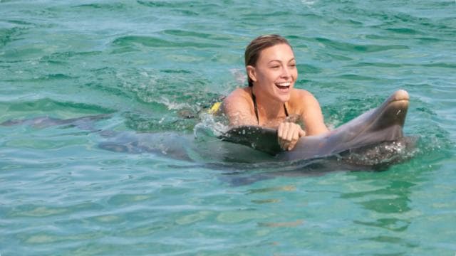 Punta Cana: Dolphin Action Program