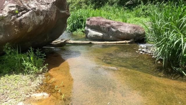 San Juan: Toro Negro River Hike & Cliff Jumping Adventure