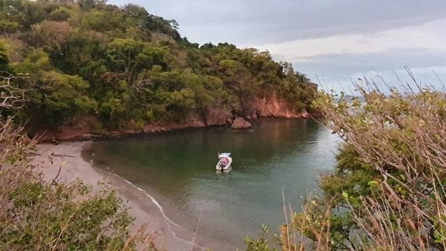 From Jaco: Bioluminiscence Boat Tour with BBQ & Drinks