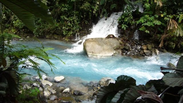 The Blue River Resort & Hot Springs: Full-Day Adventure