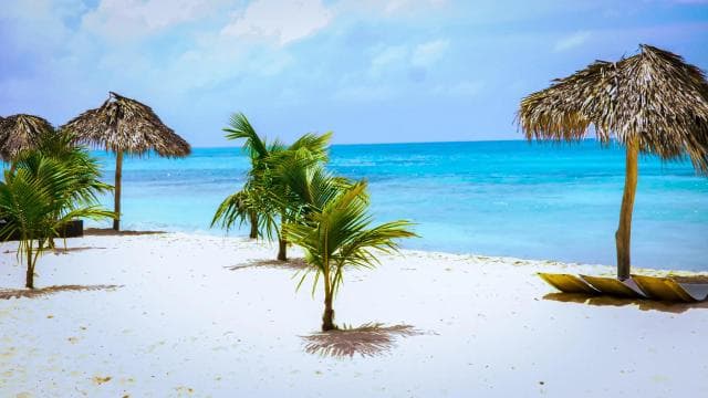 Saona Island Day Trip + Lunch + Open Bar from Punta Cana