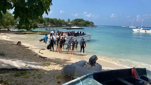 La Romana: 3-Day PADI Open Water Diver Course