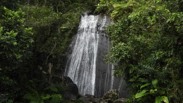 From San Juan: Rainforest Walk, Nature Swim & Luquillo Beach
