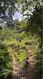 Bonao: Hike to Hidden Tropical Waterfalls with Locals