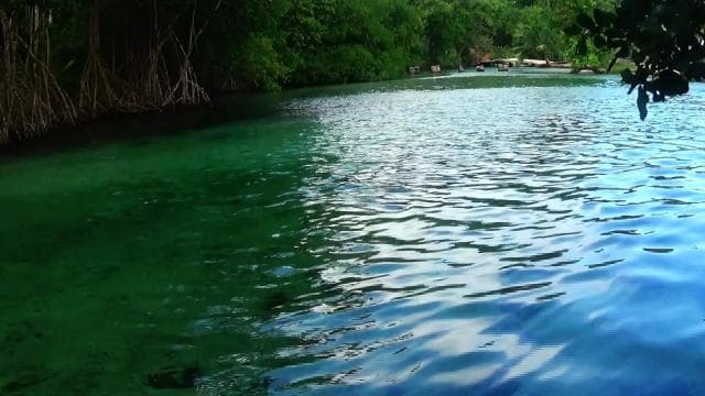 Punta Cana: Playa Rincon, Samana, & Cayo Levantado Day Trip