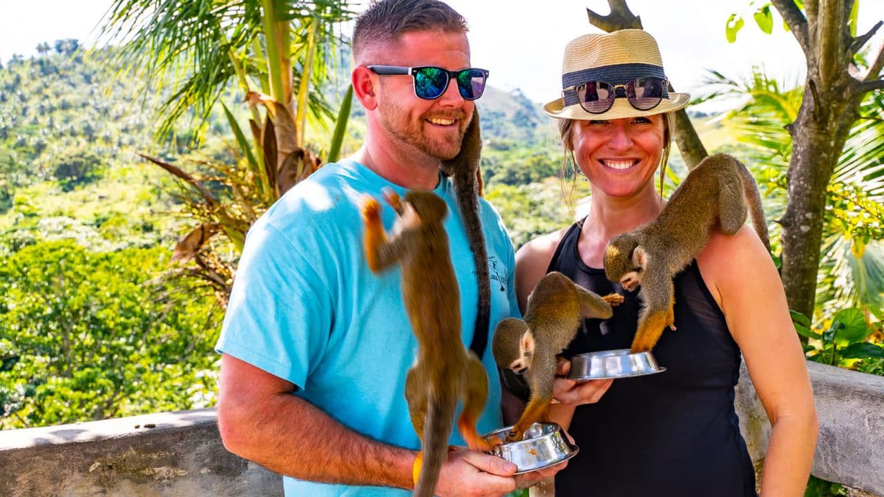 Transfers and taxis Monkey land in puerto plata