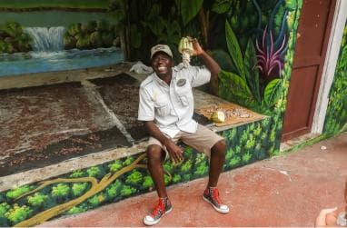 Punta Cana: Monkey Land Half-Day Safari and Plantation