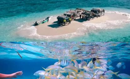 Cayo Arena: Paradise Island Tour Sosua o Cabarete