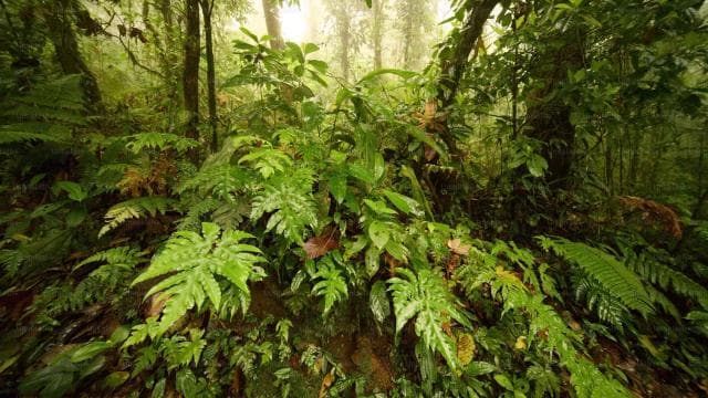 CR Luxury 14-Hour Off-the-Beaten-Path Tour Anywhere