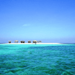 Cayo Arena: Paradise Island and Mangroves Tour