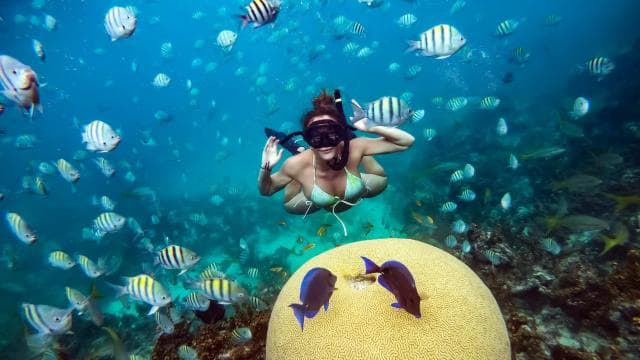 From Punta Cana: Catamaran Cruise with Lunch