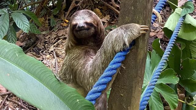 Manuel Antonio: Nauyaca Waterfalls All Inclusive Full Day
