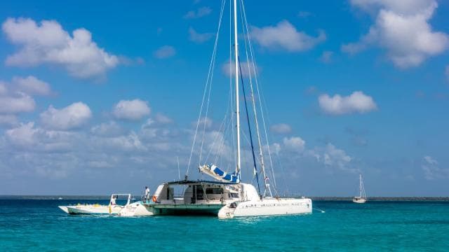 From Punta Cana: Saona Island Cruise with Private Beach