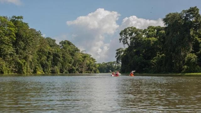 Canoe Tour in Tortuguero National Park *BEST IN TOWN*